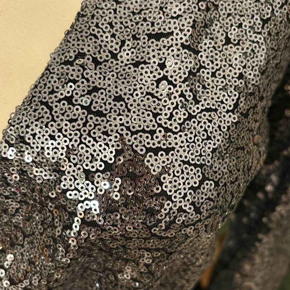 Holiday dress the color is changing from Grey to silver and some black undernet - Picture 7 of 9